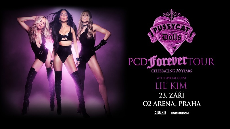 sk-the-pussycat-dolls-800x450