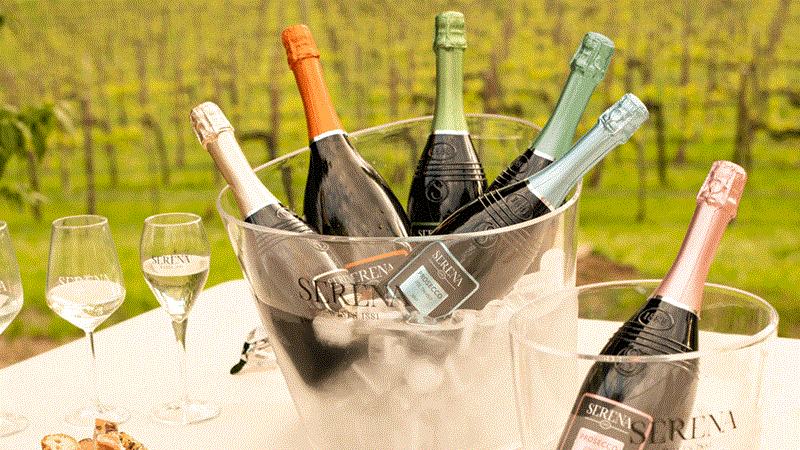 sk-wineplanet-800x450