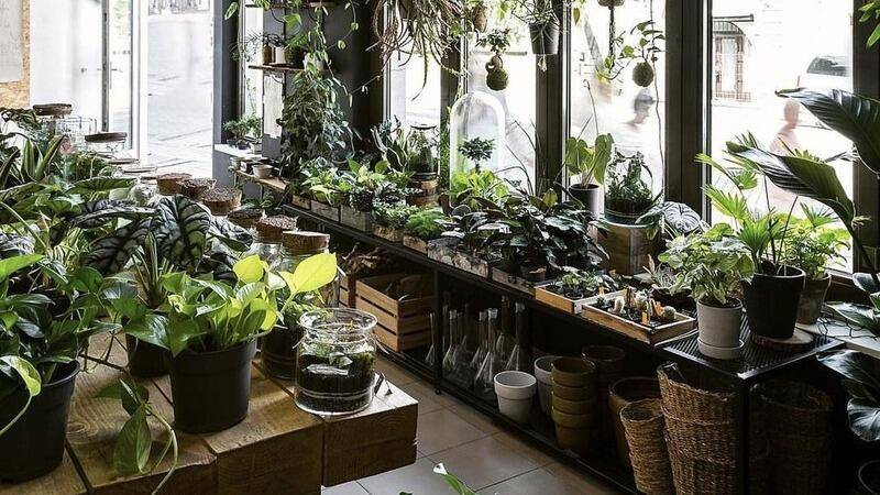 botanical lab